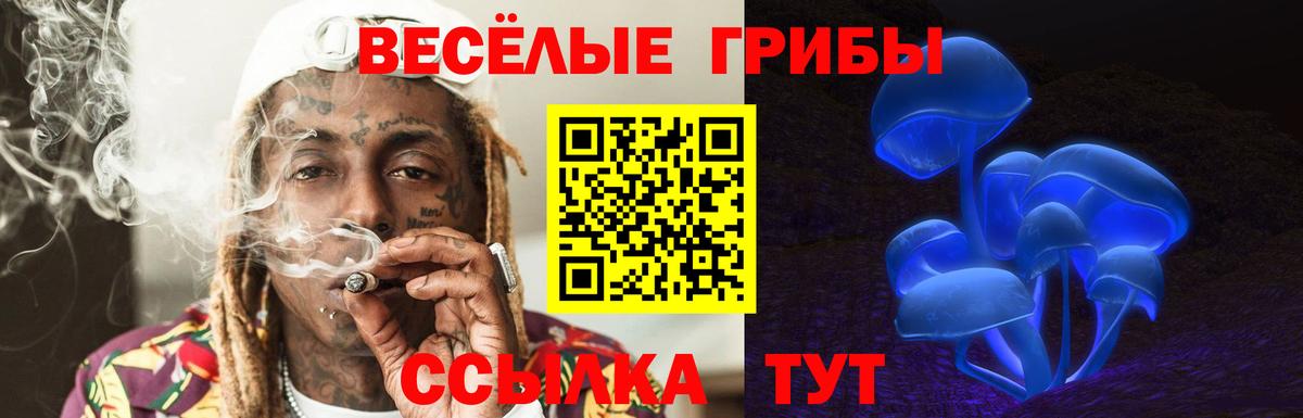 Псилоцибиновые грибы прущие грибы Владивосток